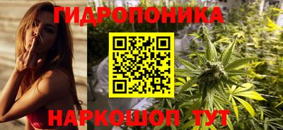 spice Кандалакша