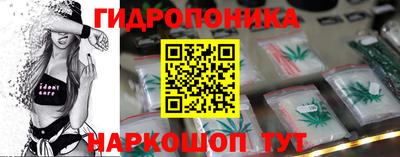 молекула духа Камышлов