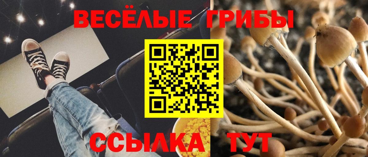 Псилоцибиновые грибы мухоморы  Вход с VPN  Фролово 